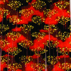Untied Skirts-Orange with Black Barbwire