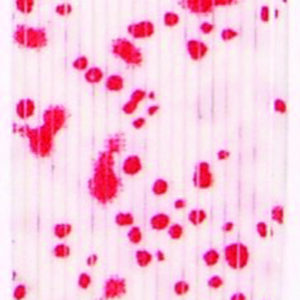 Untied Skirts-White with Red Spots