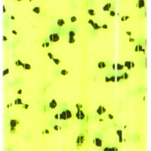 Untied Skirts-Chartreuse with Black Spots
