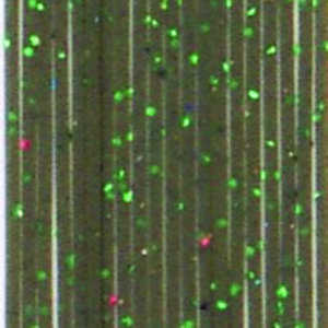 Untied Skirts-Watermelon with Green Metal Flake