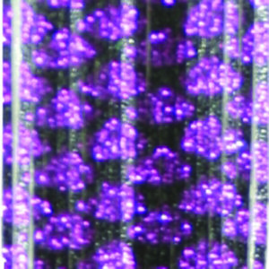 Untied Skirts-Black with Purple Scale