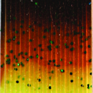 Untied Skirts-Black Brown & Amber with Amber, Green and Red Crystal