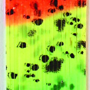 Untied Skirts-Firetiger with Black Spots