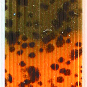 Untied Skirts-Green and Orange with Black Spots