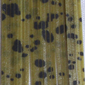 Untied Skirts-Olive with Black Spots