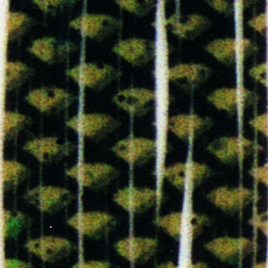 Untied Skirts-Avocado with Black Scale