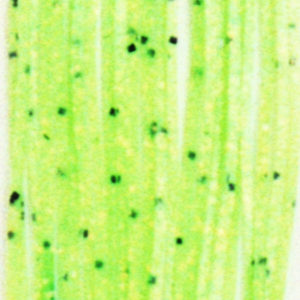 Untied Skirts-Lime with Orange Crystal & Black Metal Flake