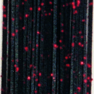 Untied Skirts-Black with Red Metal Flake