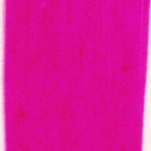 Untied Skirts-Hot Pink