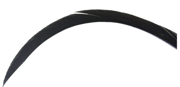 Goose Biots - Black