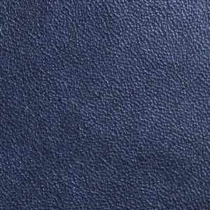 Bugskin - Pearlized Black with Silver