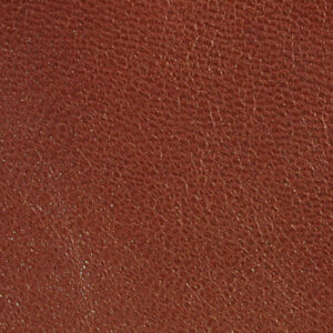 Bugskin - Pearlized Copper