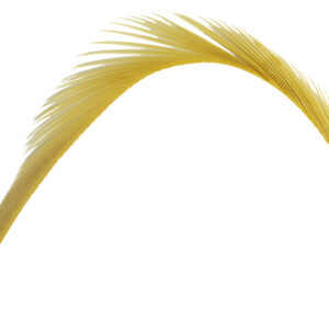Goose Biots - Gold