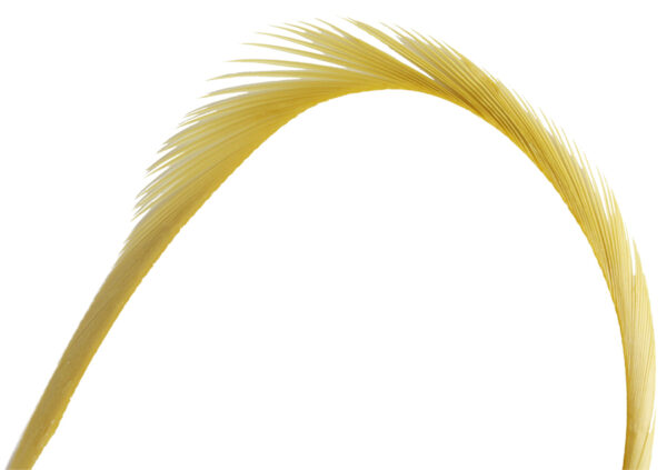 Goose Biots - Gold