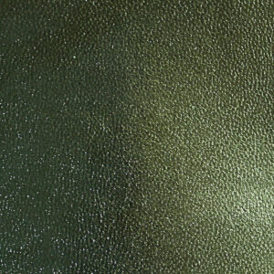Bugskin - Flash Naturals Green
