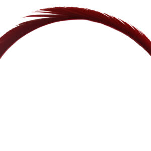 Goose Biots - Red