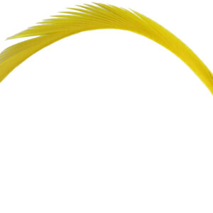 Goose Biots - Yellow
