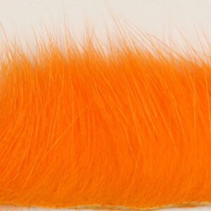 Zonkers - Strips - Orange