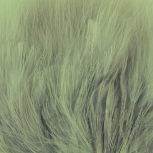 Marabou Extra Select Strung - Olive