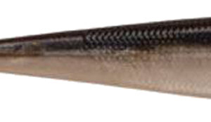 Gulp Minnow - Smelt - Size 4"