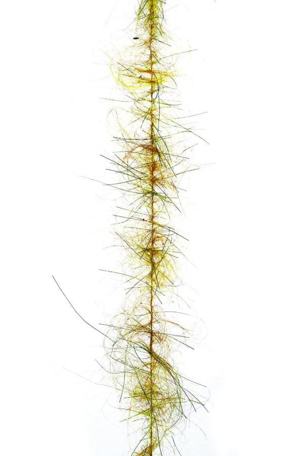 Dubbing Brushes Mohair W/Out Legs Damsel Olive
