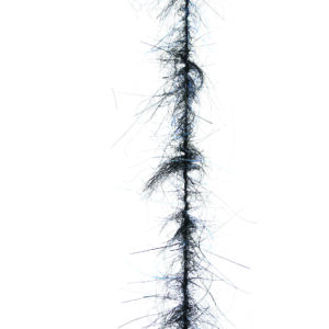 Dubbing Brushes Salmo Supreme W/Out Legs Midnight Black
