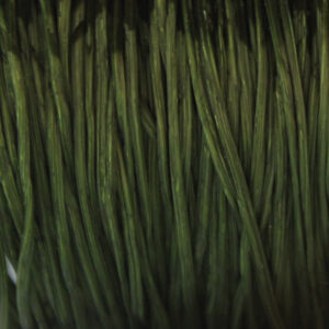 Super Floss - Black Olive