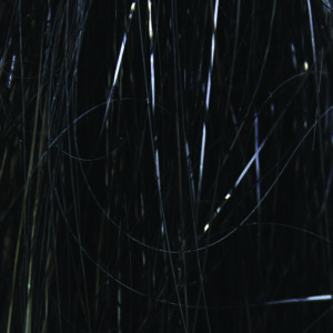 Saltwater Angel Hair - Black 2 grams