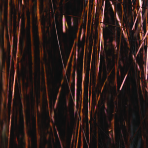Saltwater Angel Hair - Bronze 2 grams