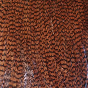 Ewing Premium Capes Brown Grizzly