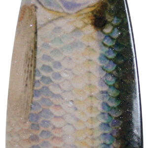 Photo Image Casting Spoons Shiner Size 6