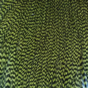 Deceiver Patch - Chartreuse Grizzly