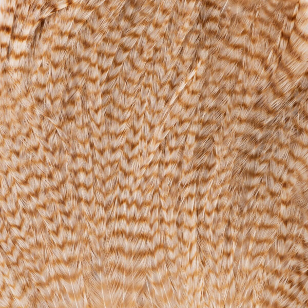Deceiver Patch - Bleached Grizzly