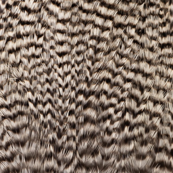 Deceiver Patch - Grizzly