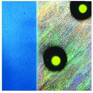 Dakota Flasher-Blue with Fluorescent UV-11 inch