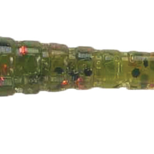 Scorpion Paddle Worm Gold Melon & Red Size 3.75"