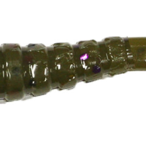 Scorpion Paddle Worm Mardi Gras Size 3.75"