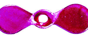 Foil Propeller Blades, Silver Foil, Pink Dye, Size 1