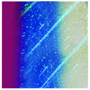 Dakota Flasher-Rainbow-8 inch