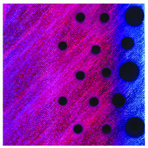 Dakota Flasher-Rainbow with Black Dots-11 inch