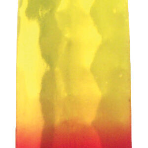 Shotgun Willy Clown Size 5