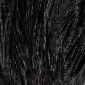 Wooly Bugger-BLACK