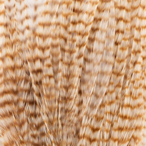 Wooly Bugger-BLEACHED GRIZZLY