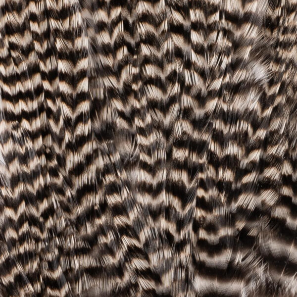 Wooly Bugger-GRIZZLY