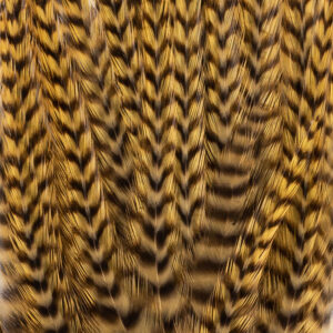 Wooly Bugger-OLIVE GRIZZLY