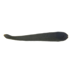 Gulp Leech - Black Olive - Size 3"