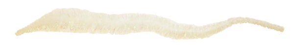 Crystal Tails - White